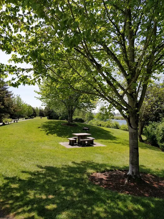 Lake Washington Beach Mobile Picture 3