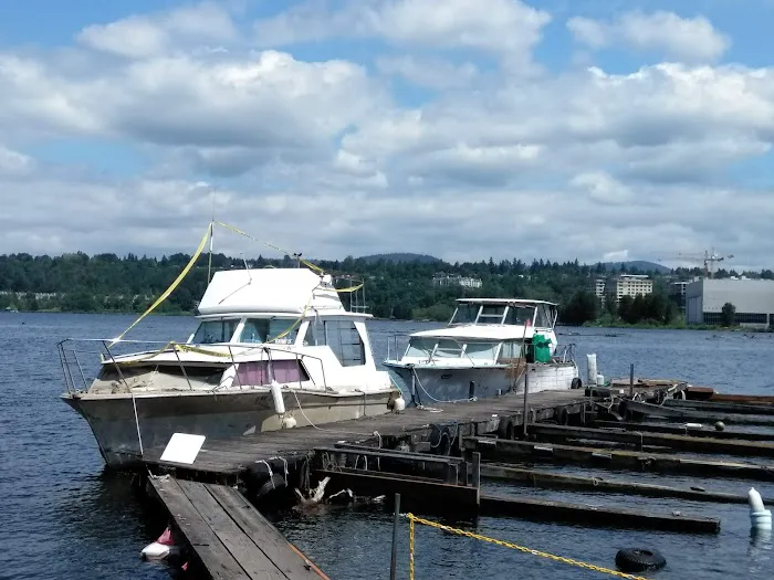 Lake Washington Beach Mobile Picture 10