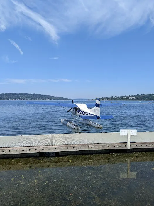 Lake Washington Beach Mobile Picture 7
