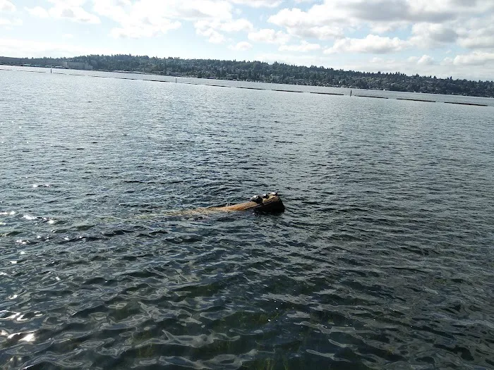 Bryn Mawr Properties Picture 5