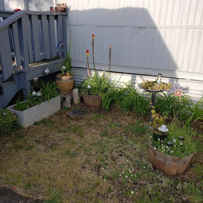 Shalimar Mobile Home Park, LLC Picture 2