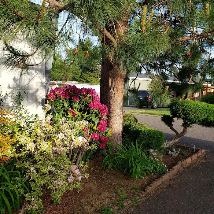 Shalimar Mobile Home Park, LLC Picture 5