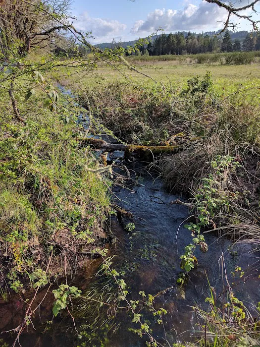 Shalimar Mobile Home Park, LLC Picture 8