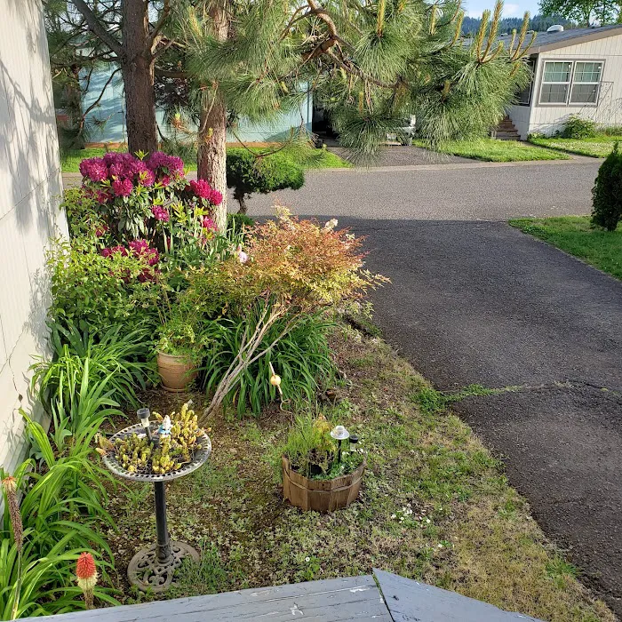 Shalimar Mobile Home Park, LLC Picture 4