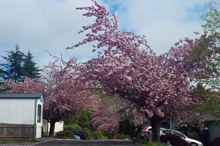 Camelot Estates Picture 1