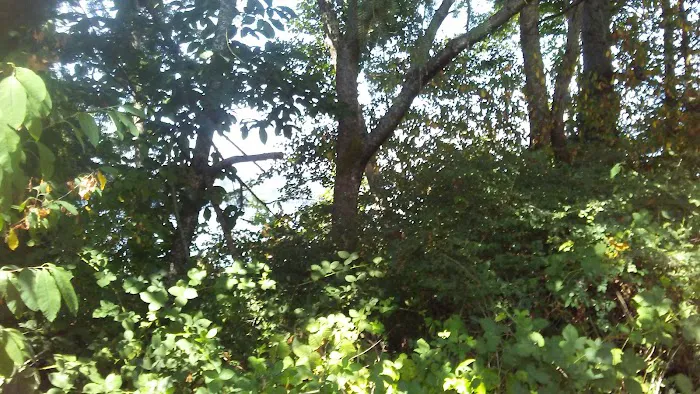 Snug Harbor Mobile Home Park Picture 9