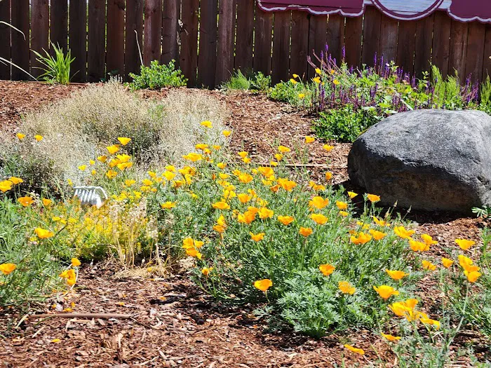 Silverdale Estates Picture 6