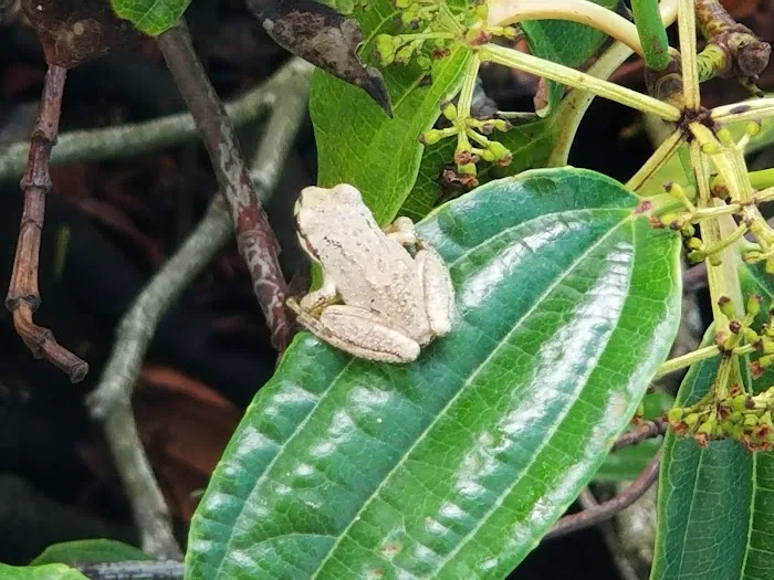 Silverdale Estates Picture 8