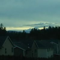 Silverdale Estates ico