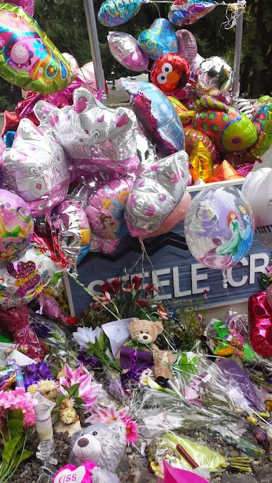 Steele Creek mobile home community Picture 2