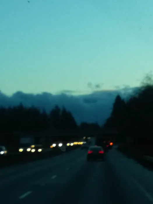 Madrona Ridge Mobile Home Park Picture 4