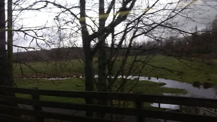 Towne Mobile Park Picture 4