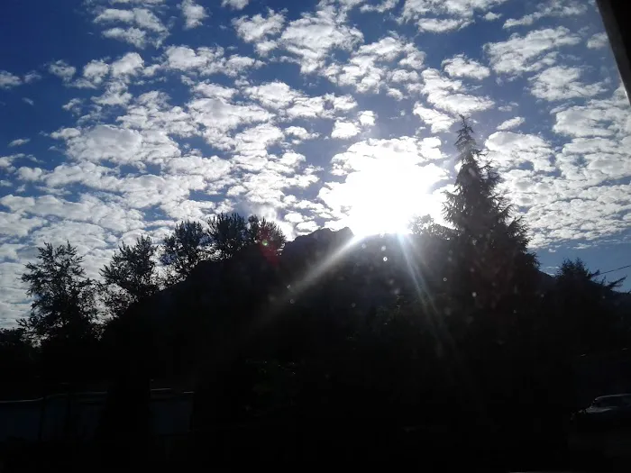 Towne Mobile Park Picture 5