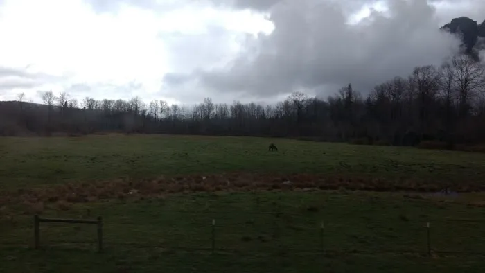 Towne Mobile Park Picture 2