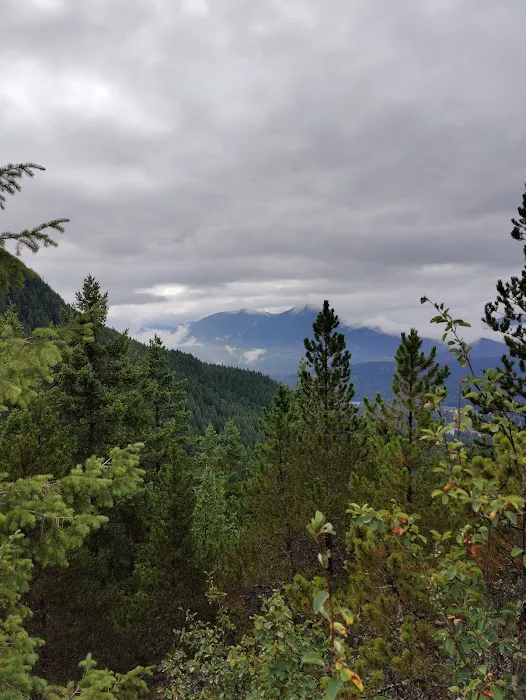 Meadows Mobile Home Park Picture 7