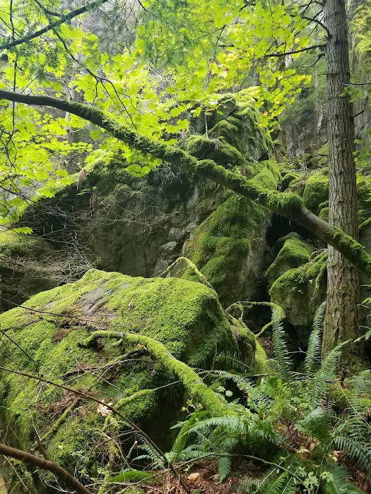 Meadows Mobile Home Park Picture 6