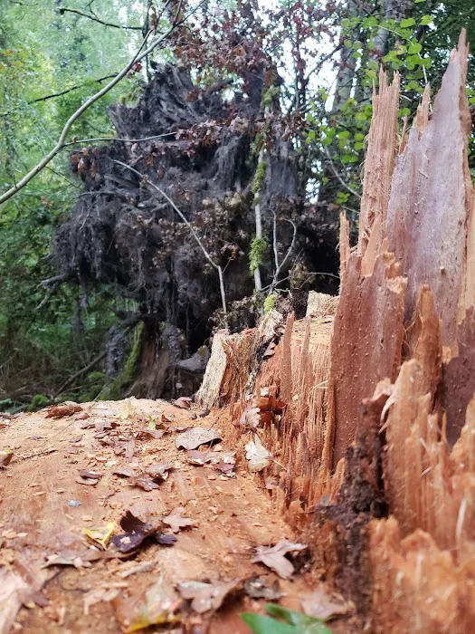 Friendly Village Picture 9