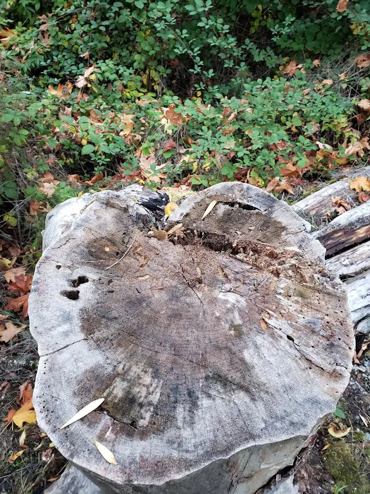 Friendly Village Picture 7