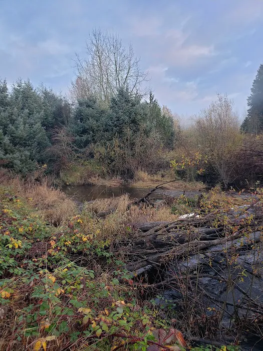 Friendly Village Picture 10