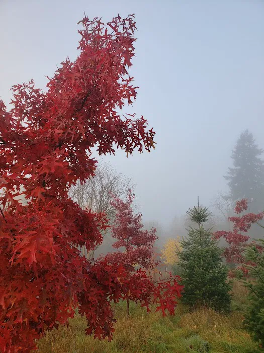 Friendly Village Picture 1