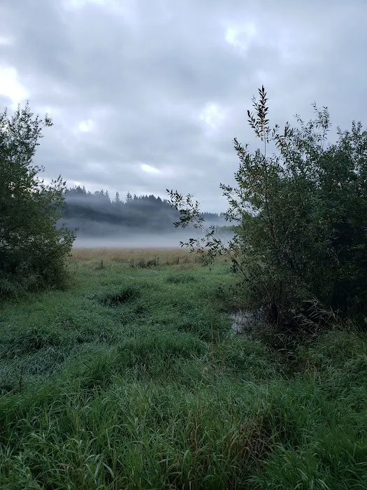 Friendly Village Picture 6