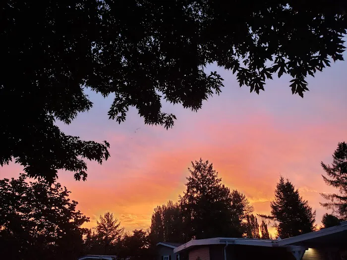 Friendly Village Picture 2