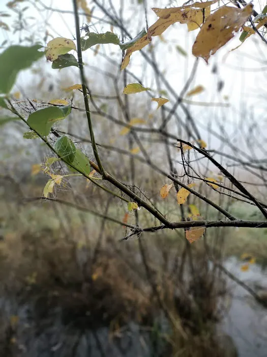 Friendly Village Picture 3