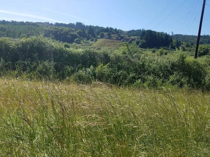 Eagle Valley RV Park Picture 9