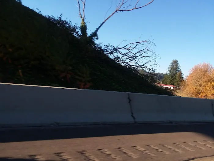 Eagle Valley RV Park Picture 5