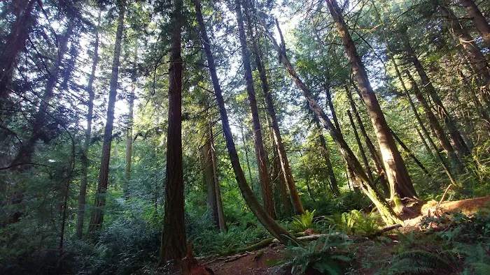 Eagle Tree RV Park Picture 3