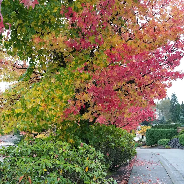 Woodcrest Estates Picture 8