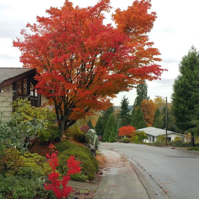 Woodcrest Estates Picture 6