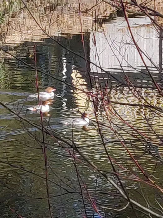 Lazy Wheels Mobile Park Picture 6