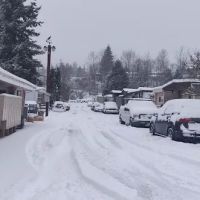 Lazy Wheels Mobile Park ico