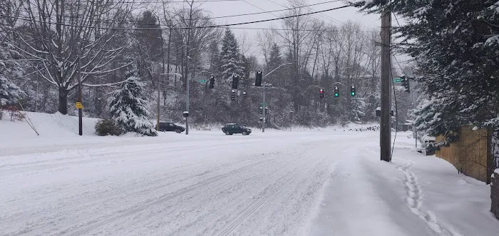 Lazy Wheels Mobile Park Picture 3