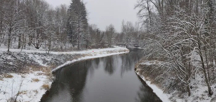 Lazy Wheels Mobile Park Picture 2