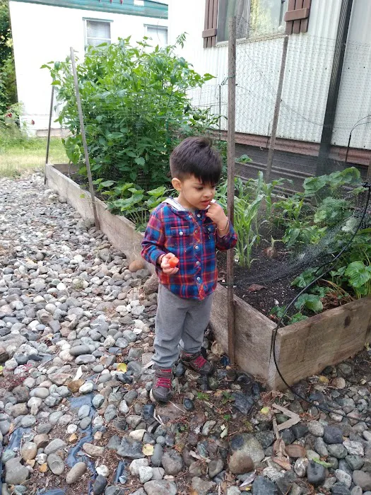 Kenmore Village Picture 5