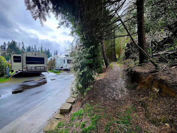 Lake Pleasant RV Park Picture 3