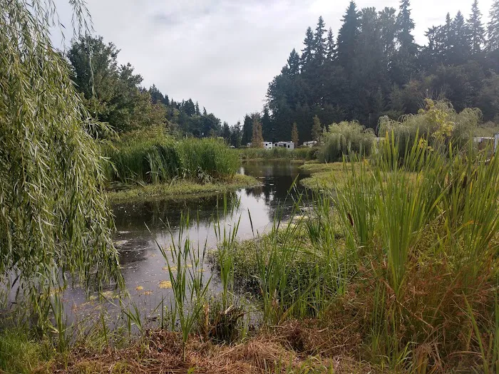 Lake Pleasant RV Park Picture 7