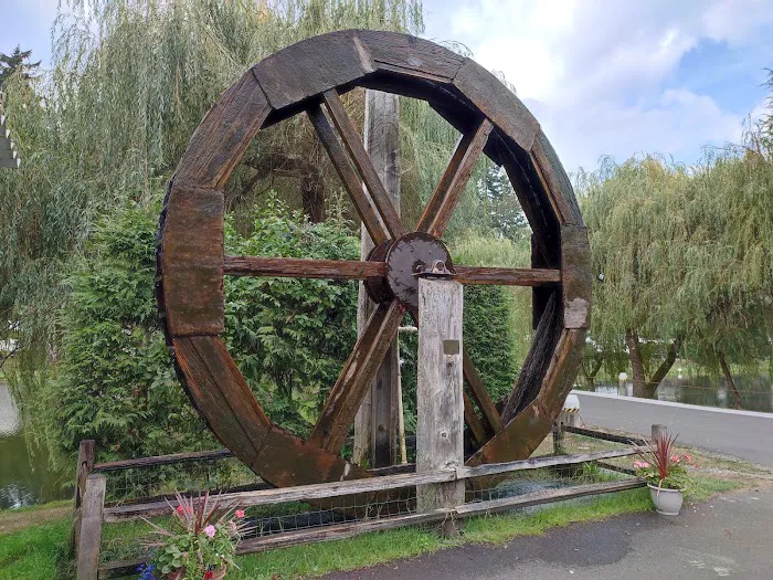 Lake Pleasant RV Park Picture 6