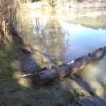 Three Rivers Mobile Home Park