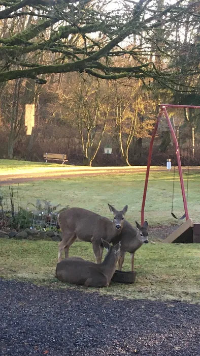 Eagle Park Picture 10