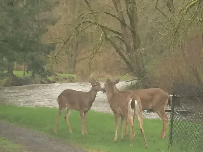 Eagle Park Picture 1