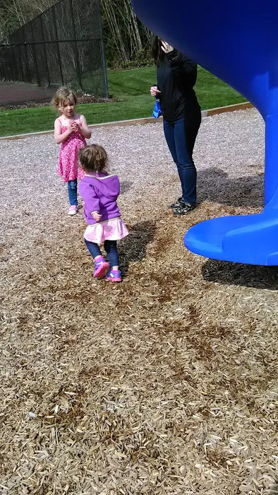 Timberline Village Picture 1