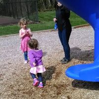 Timberline Village ico