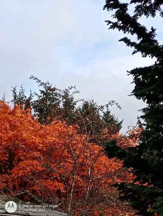 Twin Creeks Mobile Home Park Picture 3