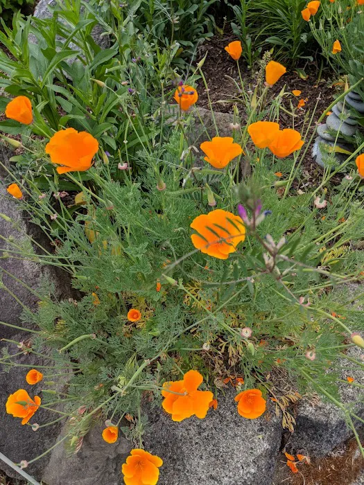 Twin Creeks Mobile Home Park Picture 10