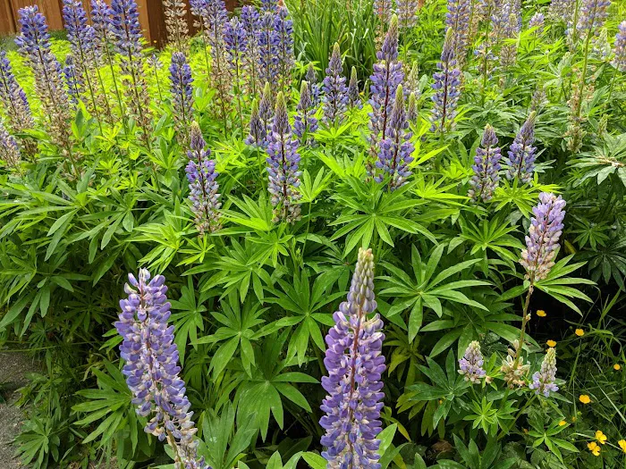 Twin Creeks Mobile Home Park Picture 8