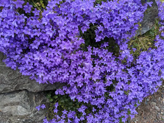 Twin Creeks Mobile Home Park Picture 7