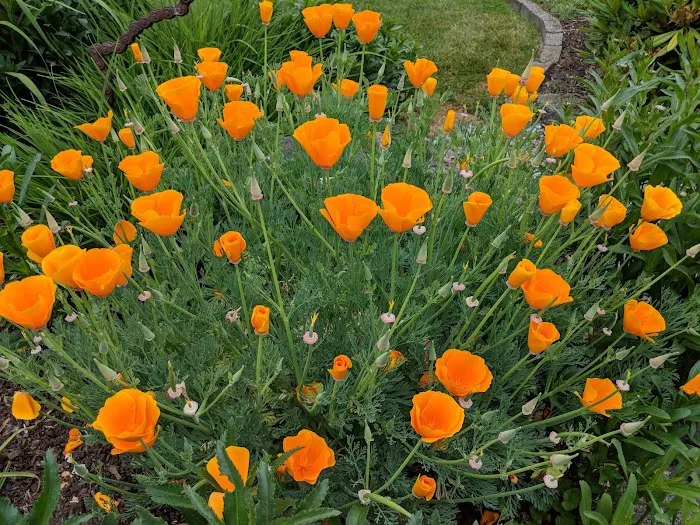 Twin Creeks Mobile Home Park Picture 6